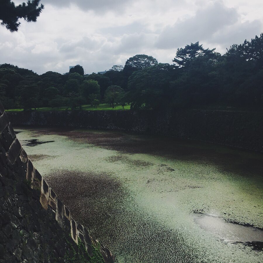 皇居 お堀