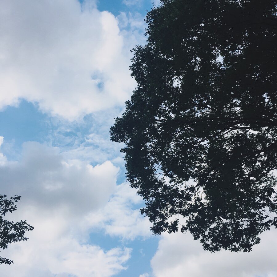 皇居 空