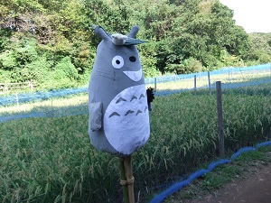 DSCF0292totoro