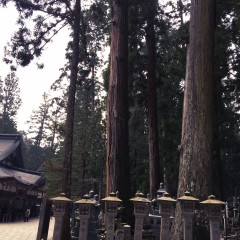 高野山奥の院